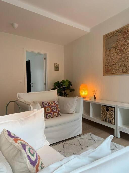 אנטוורפן Cozy Studio In Centre Of Old Town מראה חיצוני תמונה